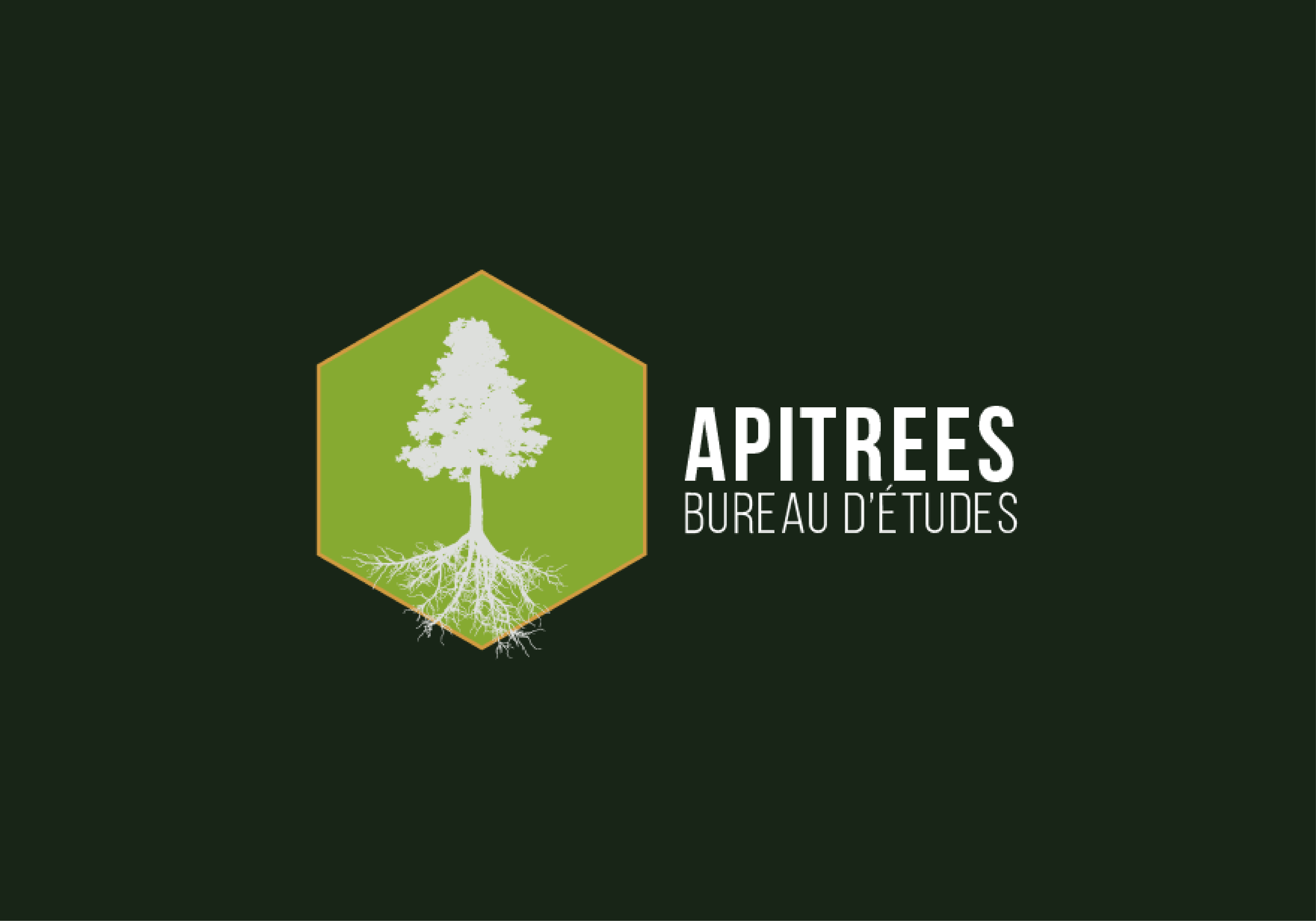 Apitrees brand preview