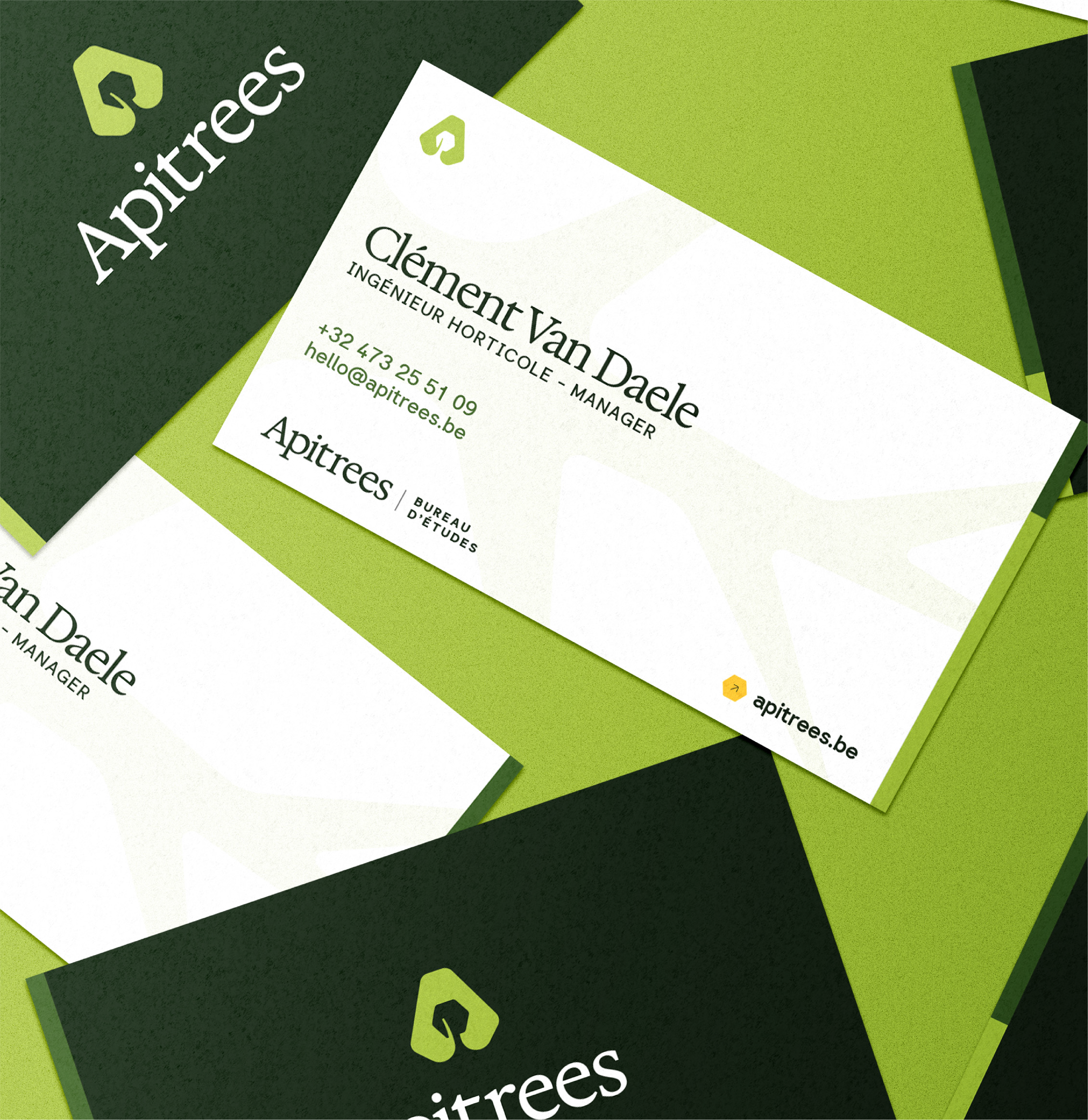 Apitrees brand preview