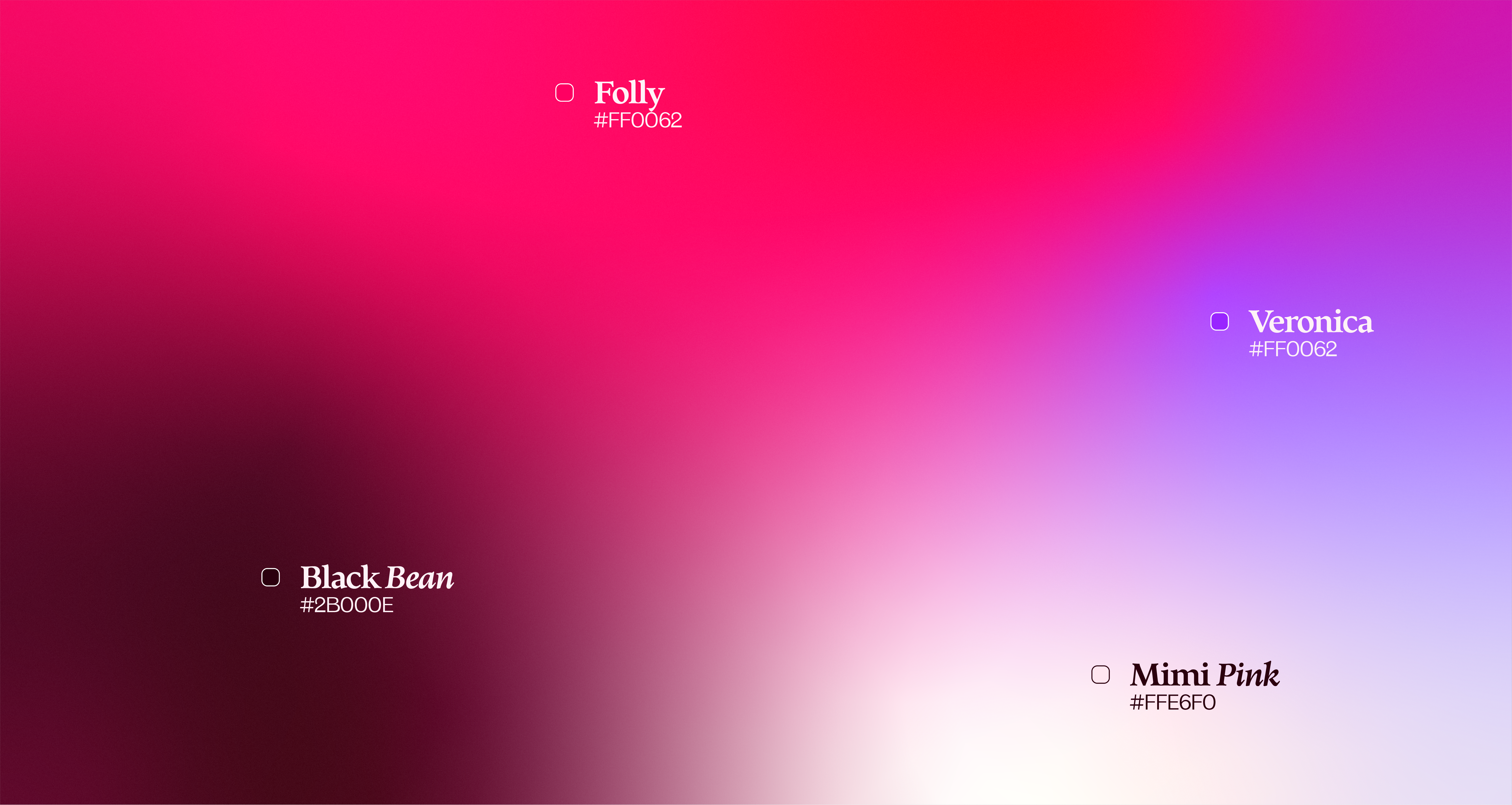 virtuo brand preview